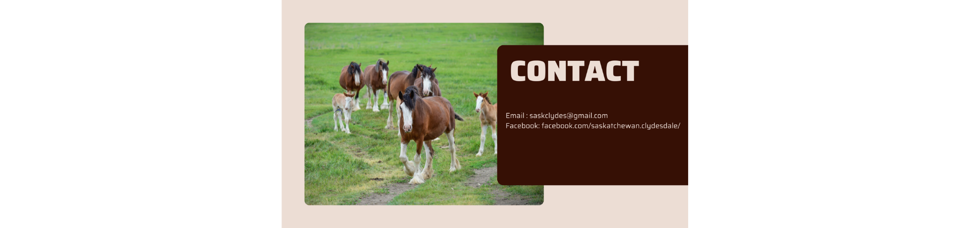 SCA-Slide-8