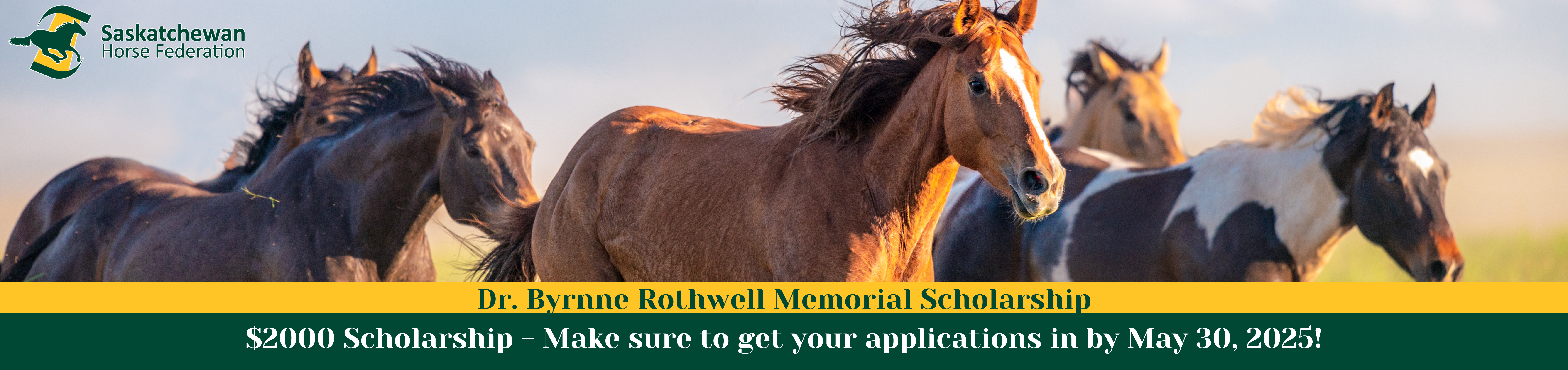 Scholarship