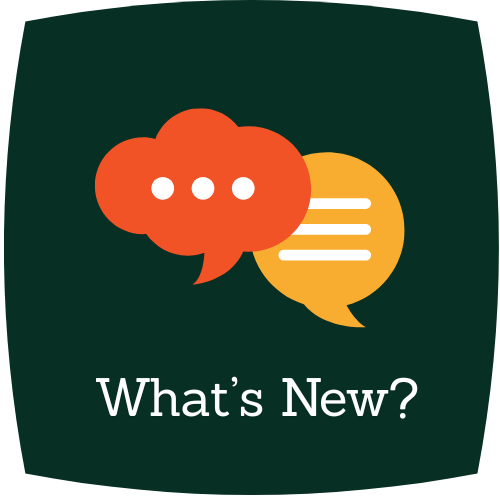 News Icon
